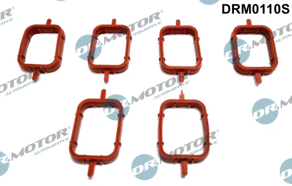 Įsiurbimo kolektoriaus tarpinių rinkinys Dr.Motor Automotive DRM0110S