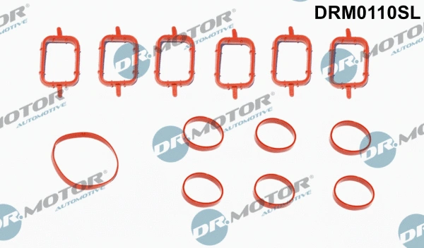 Įsiurbimo kolektoriaus tarpinių rinkinys Dr.Motor Automotive DRM0110SL