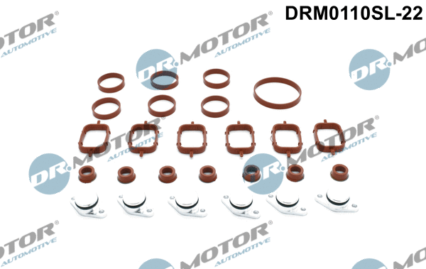 Įsiurbimo kolektoriaus modulis Dr.Motor Automotive DRM0110SL-22