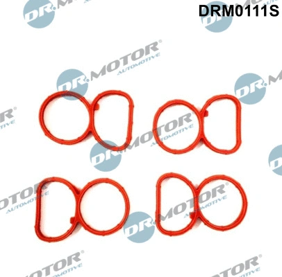 Įsiurbimo kolektoriaus tarpinių rinkinys Dr.Motor Automotive DRM0111S