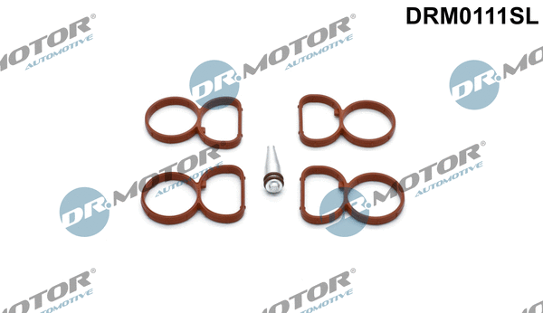 Įsiurbimo kolektoriaus tarpinių rinkinys Dr.Motor Automotive DRM0111SL