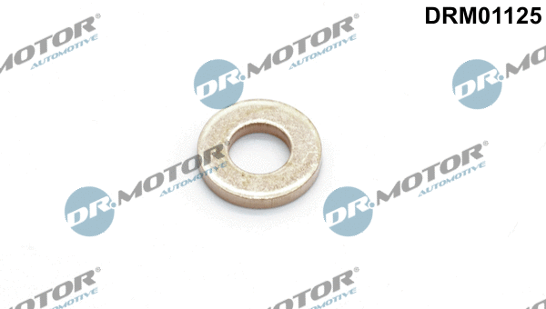 Purkštuko tarpinė Dr.Motor Automotive DRM01125