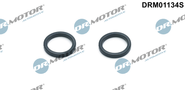 Alyvos aušintuvo tarpinių rinkinys Dr.Motor Automotive DRM01134S