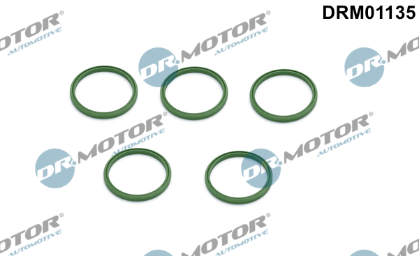 Turbinos oro žarnos tarpinė Dr.Motor Automotive DRM01135