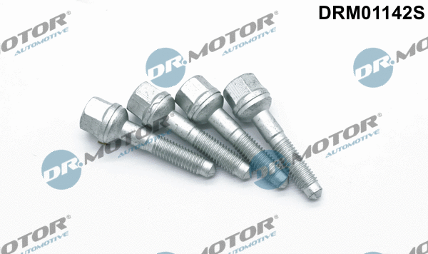 Purkštuko antgalio laikiklio varžtas Dr.Motor Automotive DRM01142S