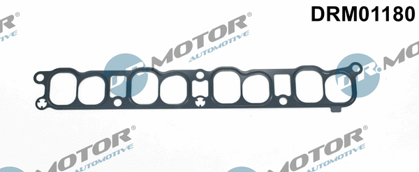 Įsiurbimo kolektoriaus tarpinė Dr.Motor Automotive DRM01180