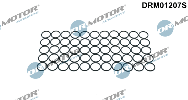Purkštuko laikiklio tarpinė Dr.Motor Automotive DRM01207S