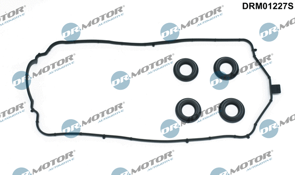 Vožtuvų dangtelio tarpinių komplektas Dr.Motor Automotive DRM01227S
