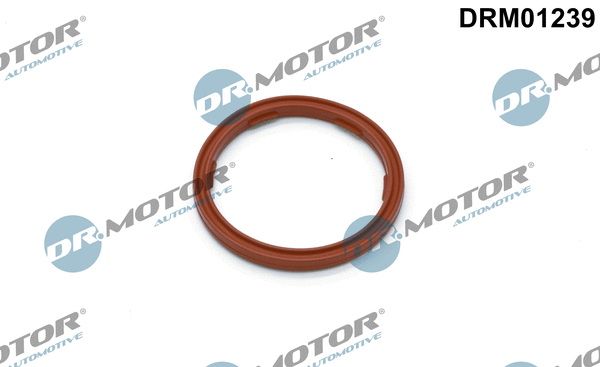 Alyvos lygio daviklio tarpinė Dr.Motor Automotive DRM01239