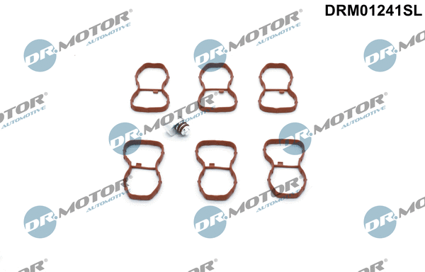 Įsiurbimo kolektoriaus modulis Dr.Motor Automotive DRM01241SL