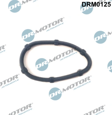 Variklio karterio alsuoklio tarpinė Dr.Motor Automotive DRM0125