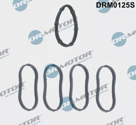 Įsiurbimo kolektoriaus tarpinių rinkinys Dr.Motor Automotive DRM0125S