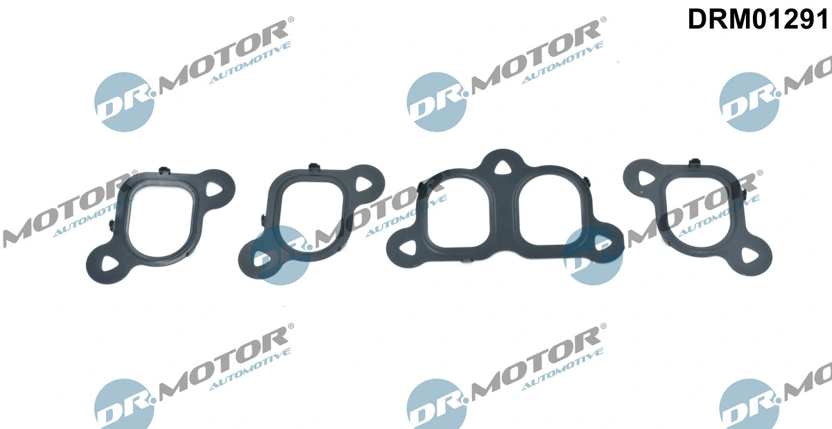 Įsiurbimo kolektoriaus tarpinių rinkinys Dr.Motor Automotive DRM01291