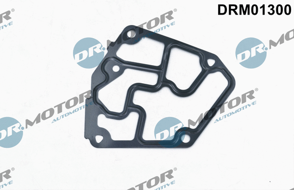 Alyvos filtro korpuso tarpinė Dr.Motor Automotive DRM01300