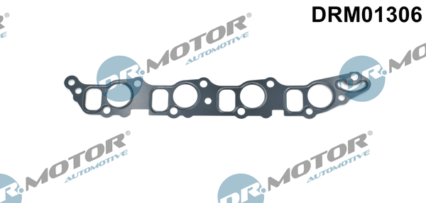 Įsiurbimo kolektoriaus tarpinė Dr.Motor Automotive DRM01306