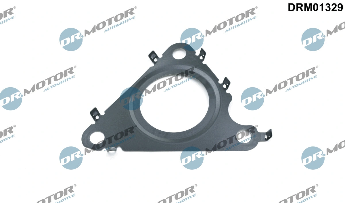 EGR vožtuvo tarpinė Dr.Motor Automotive DRM01329