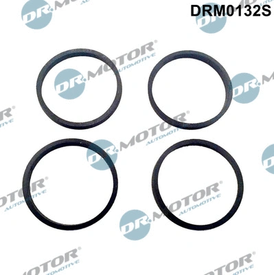 Įsiurbimo kolektoriaus tarpinių rinkinys Dr.Motor Automotive DRM0132S