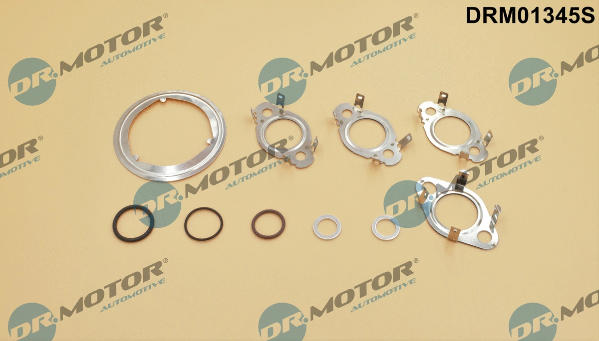 AGR sistemos tarpinių rinkinys Dr.Motor Automotive DRM01345S