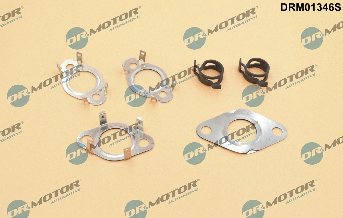 AGR sistemos tarpinių rinkinys Dr.Motor Automotive DRM01346S