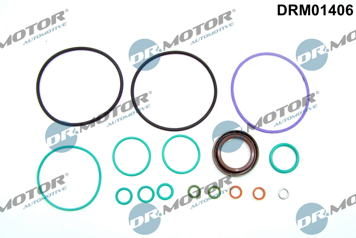 Degalų siurblio remonto komplektas Dr.Motor Automotive DRM01406