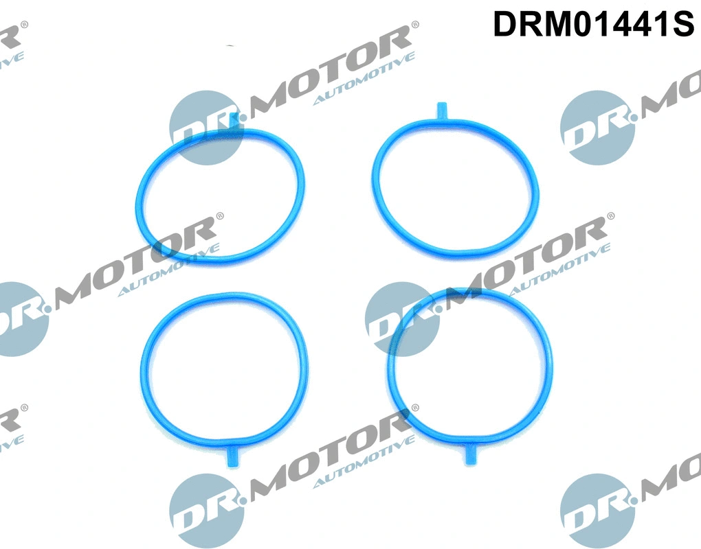 Įsiurbimo kolektoriaus tarpinių rinkinys Dr.Motor Automotive DRM01441S