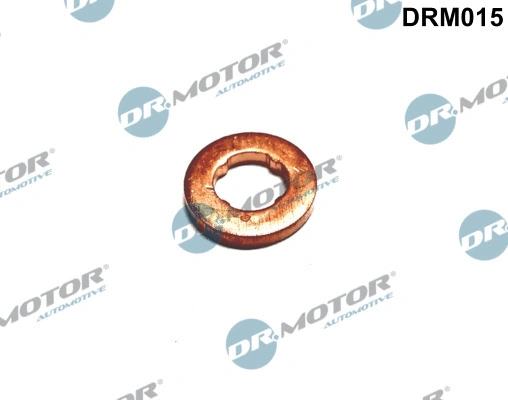 Purkštuko tarpinė Dr.Motor Automotive DRM015