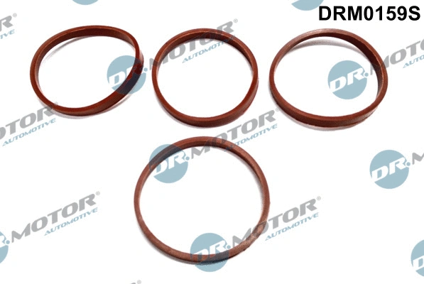 Įsiurbimo kolektoriaus tarpinių rinkinys Dr.Motor Automotive DRM0159S