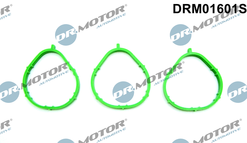 Įsiurbimo kolektoriaus tarpinių rinkinys Dr.Motor Automotive DRM01601S