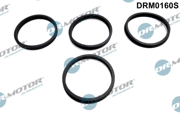 Įsiurbimo kolektoriaus tarpinių rinkinys Dr.Motor Automotive DRM0160S
