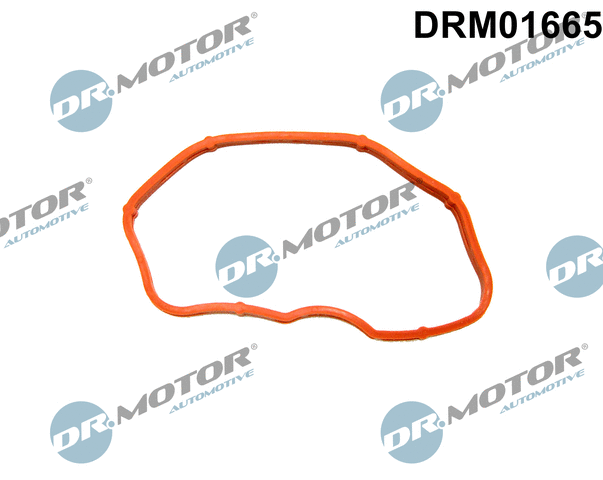 Įsiurbimo kolektoriaus tarpinė Dr.Motor Automotive DRM01665