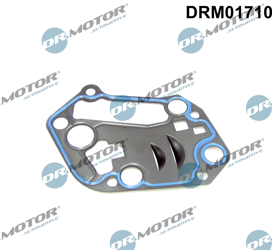 Alyvos filtro korpuso tarpinė Dr.Motor Automotive DRM01710