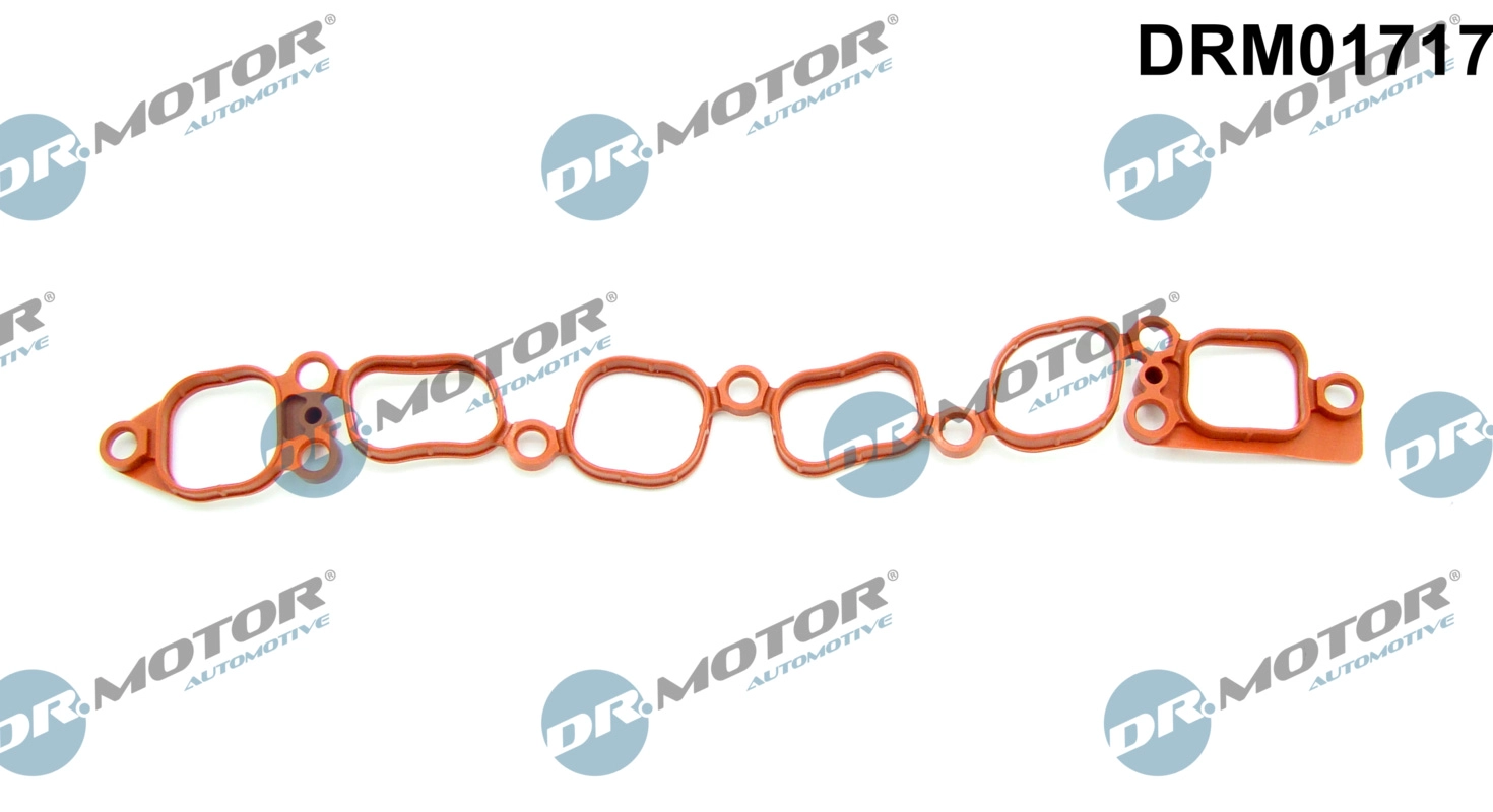 Įsiurbimo kolektoriaus tarpinė Dr.Motor Automotive DRM01717