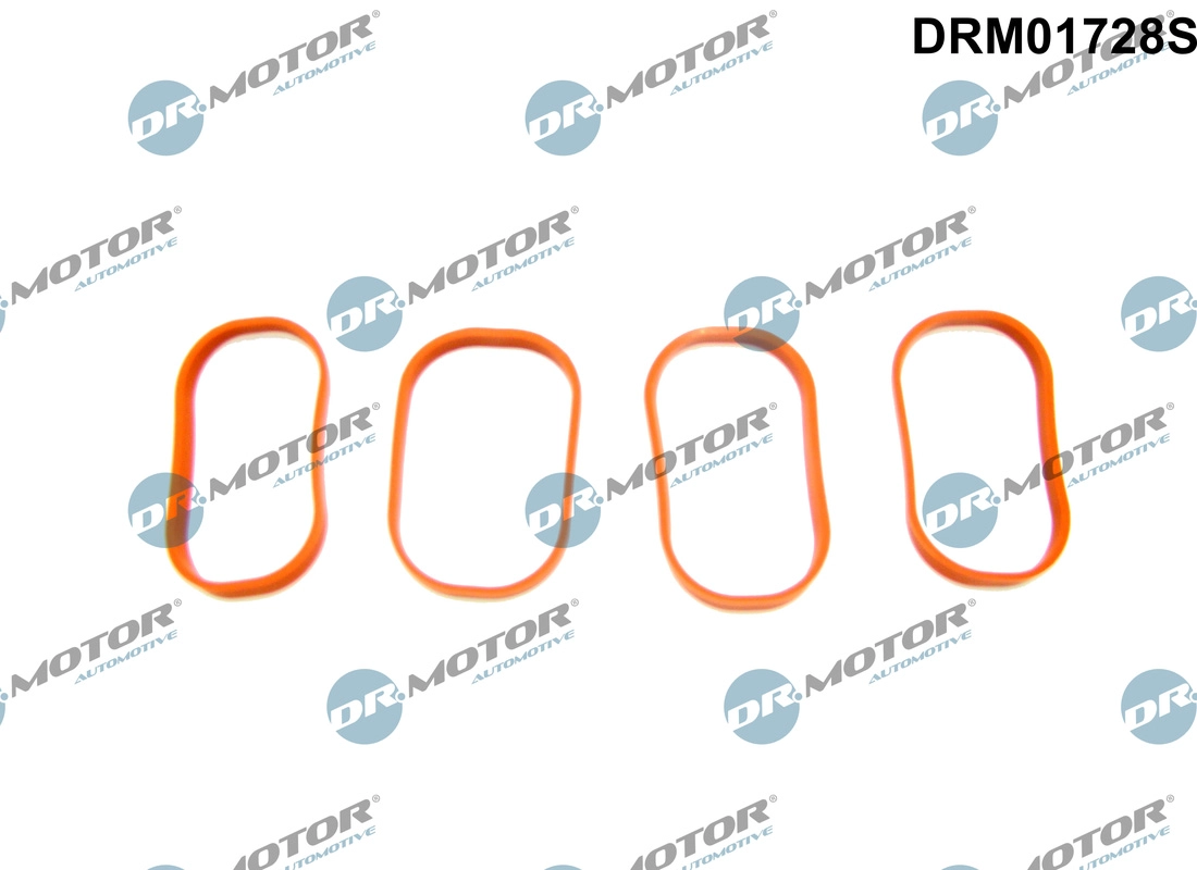 Įsiurbimo kolektoriaus tarpinių rinkinys Dr.Motor Automotive DRM01728S