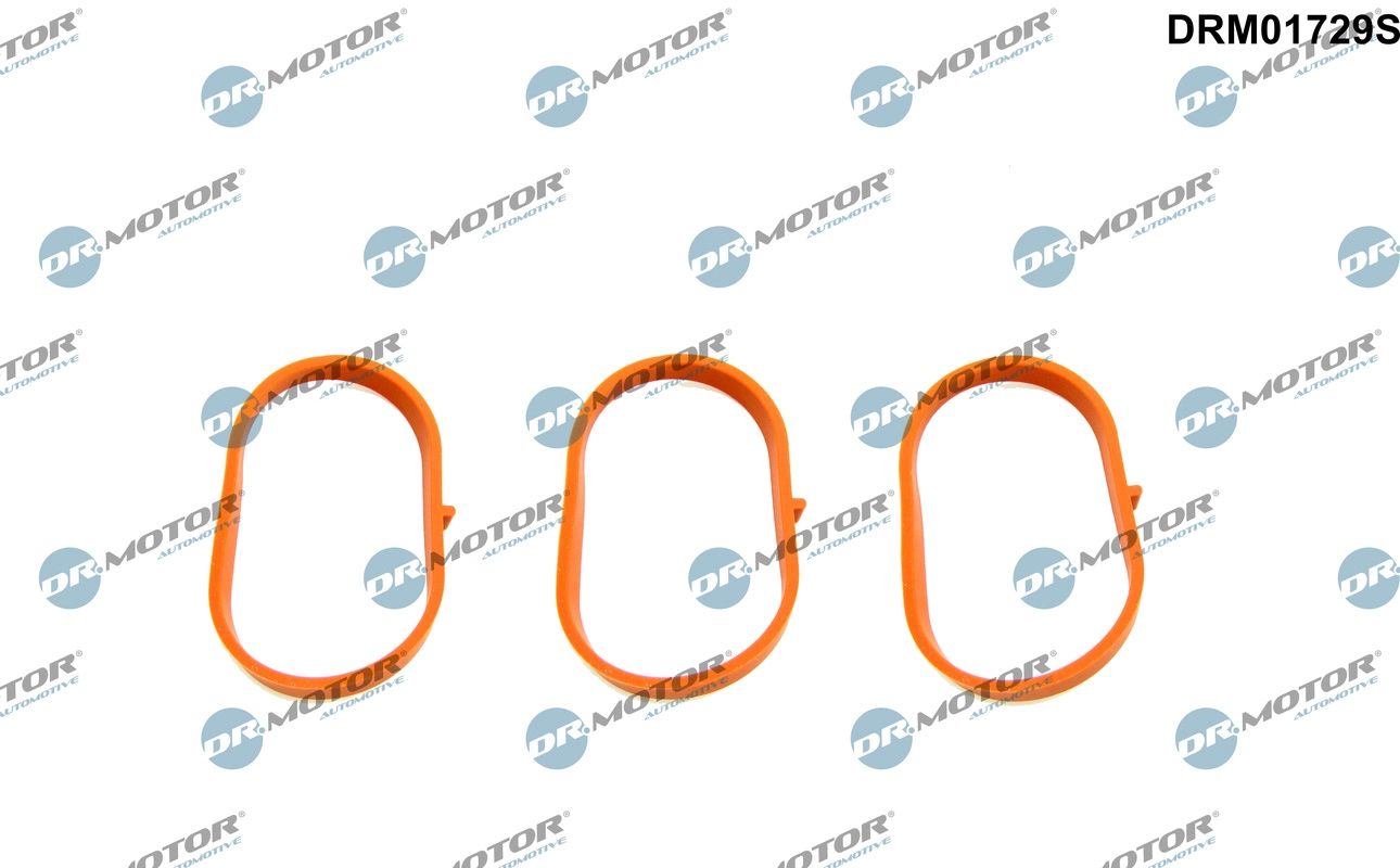 Įsiurbimo kolektoriaus tarpinių rinkinys Dr.Motor Automotive DRM01729S