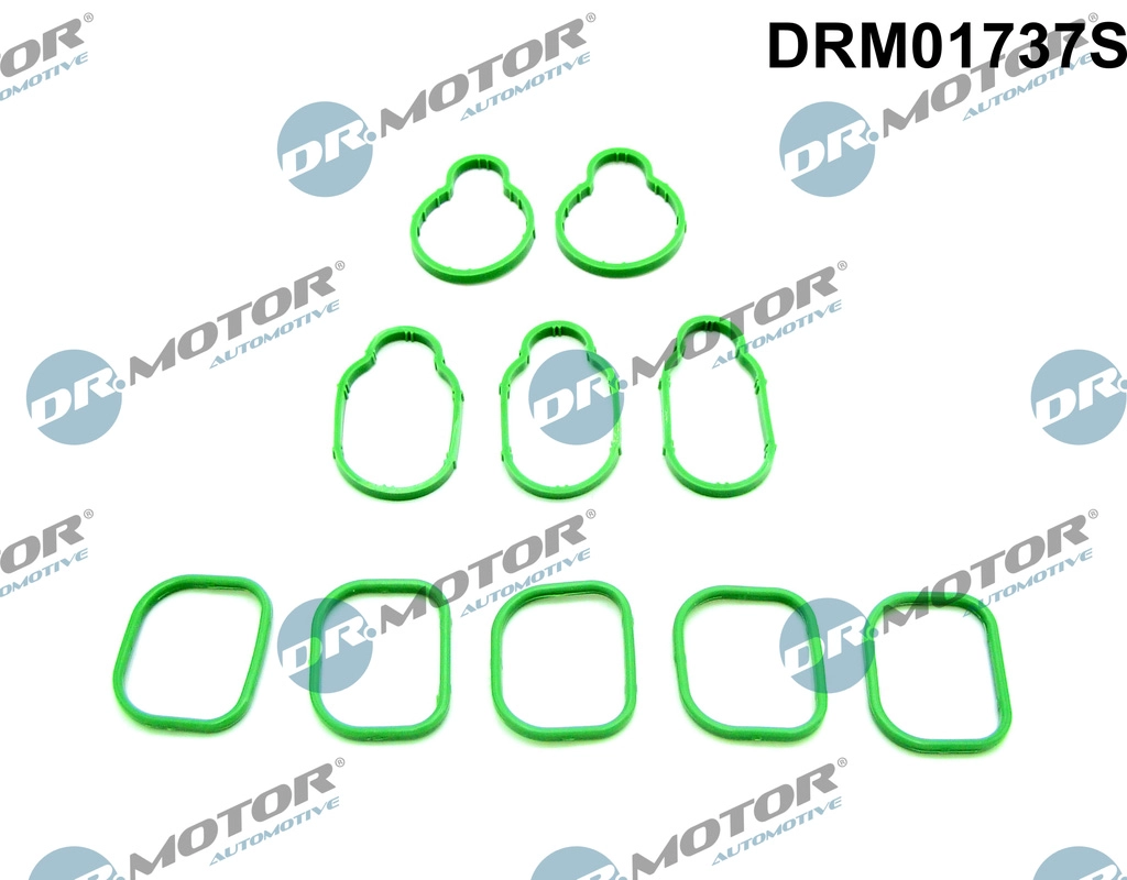 Įsiurbimo kolektoriaus tarpinių rinkinys Dr.Motor Automotive DRM01737S
