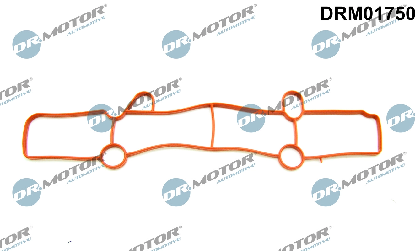 Įsiurbimo kolektoriaus tarpinė Dr.Motor Automotive DRM01750