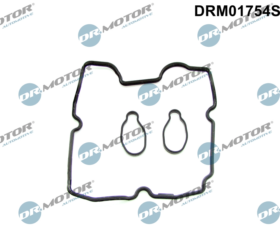 Vožtuvų dangtelio tarpinių komplektas Dr.Motor Automotive DRM01754S