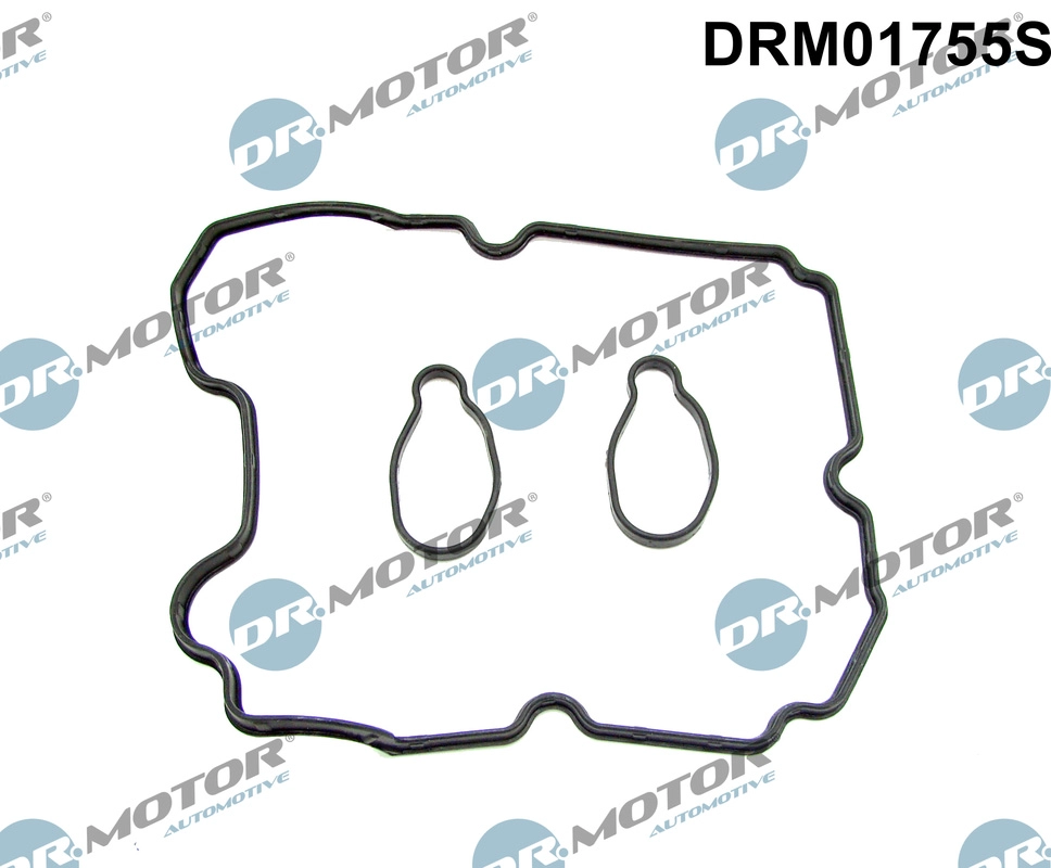 Vožtuvų dangtelio tarpinių komplektas Dr.Motor Automotive DRM01755S