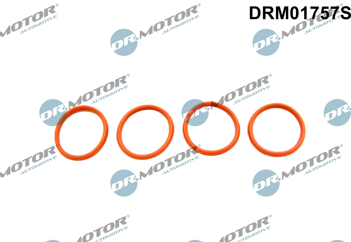 Įsiurbimo kolektoriaus tarpinių rinkinys Dr.Motor Automotive DRM01757S