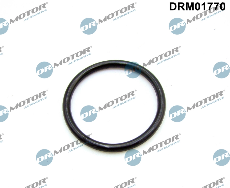 Įsiurbimo kolektoriaus tarpinė Dr.Motor Automotive DRM01770