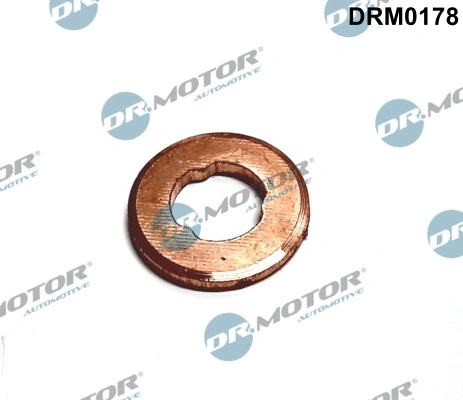 Purkštuko tarpinė Dr.Motor Automotive DRM0178