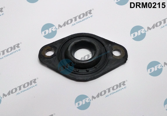 Purkštuko laikiklio tarpinė Dr.Motor Automotive DRM0215