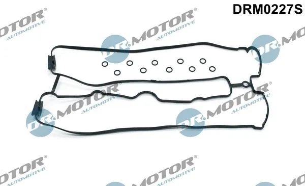 Vožtuvų dangtelio tarpinių komplektas Dr.Motor Automotive DRM0227S