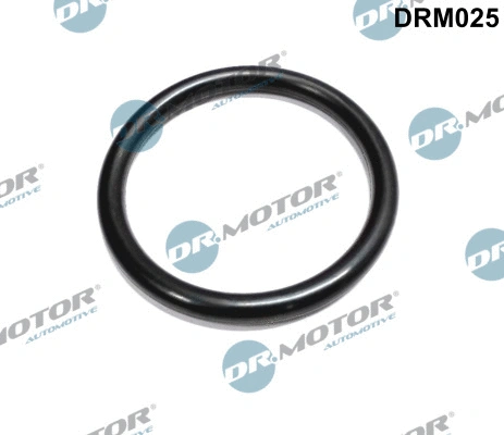 Droselio korpuso tarpinė Dr.Motor Automotive DRM025