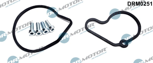 Vakuumo siurblio remonto komplektas Dr.Motor Automotive DRM0251