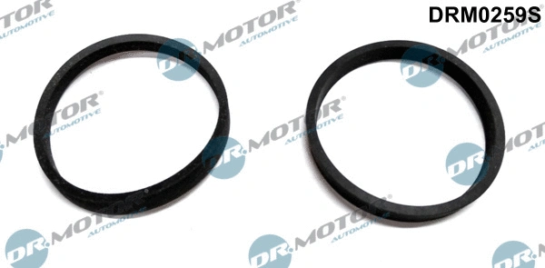 Įsiurbimo kolektoriaus tarpinių rinkinys Dr.Motor Automotive DRM0259S
