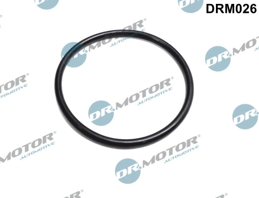 Droselio korpuso tarpinė Dr.Motor Automotive DRM026