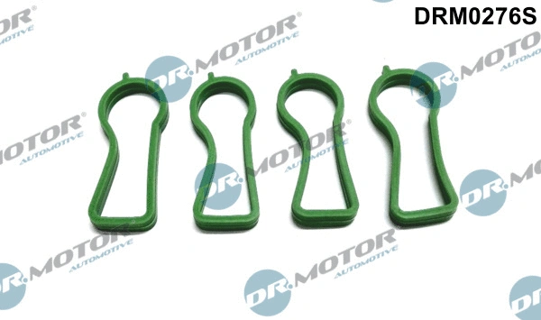 Įsiurbimo kolektoriaus tarpinių rinkinys Dr.Motor Automotive DRM0276S