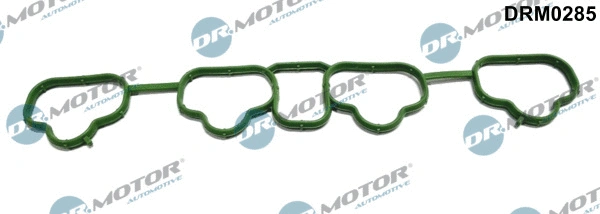 Įsiurbimo kolektoriaus tarpinė Dr.Motor Automotive DRM0285