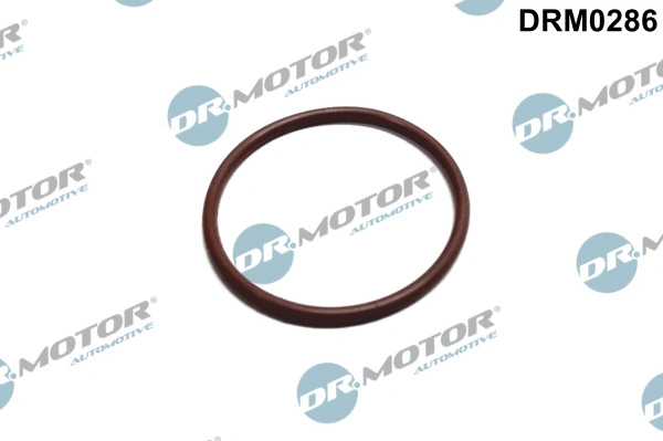 Degalų siurblio tarpinė Dr.Motor Automotive DRM0286